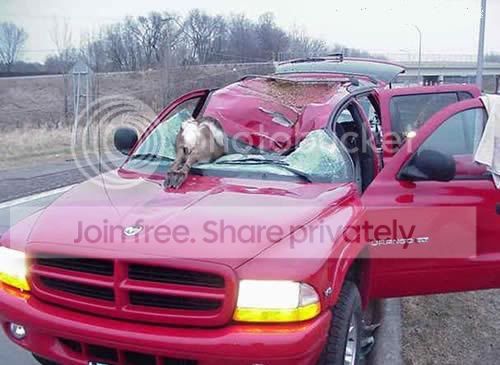 accident.jpg