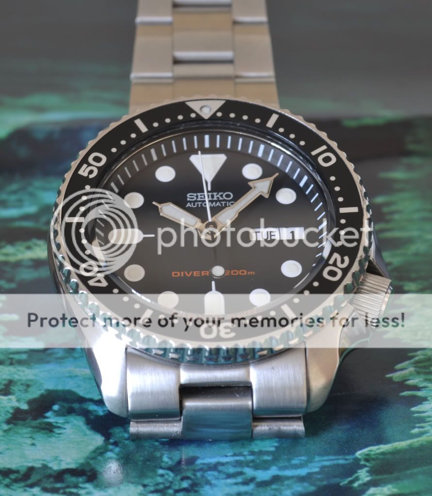 seiko skx solid end links