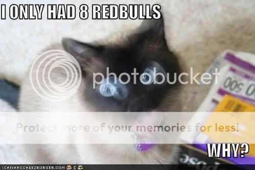 http://i159.photobucket.com/albums/t156/LuxxxAeterna/funny-pictures-redbulls-cat.jpg