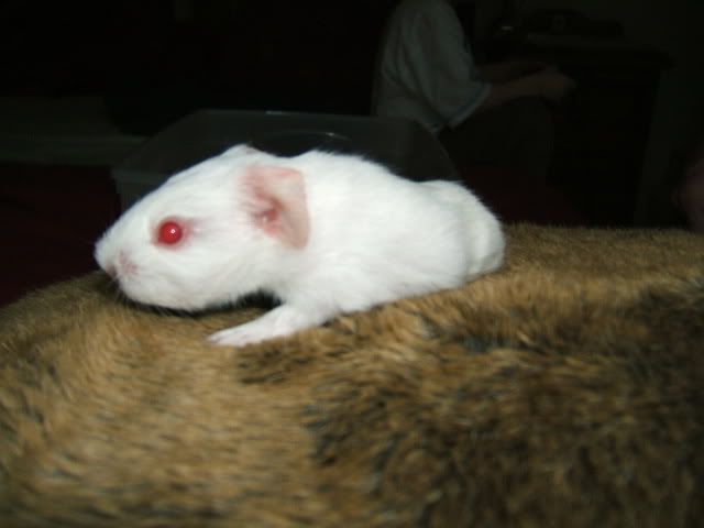 DSCF1689.jpg