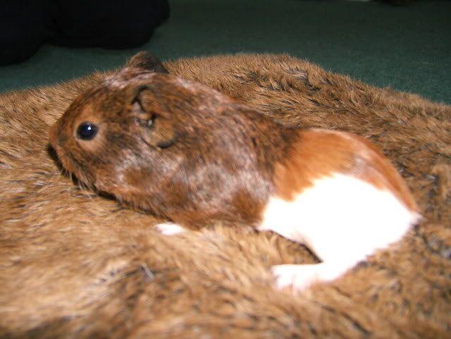 DSCF1707.jpg